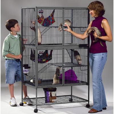 chinchilla cage price