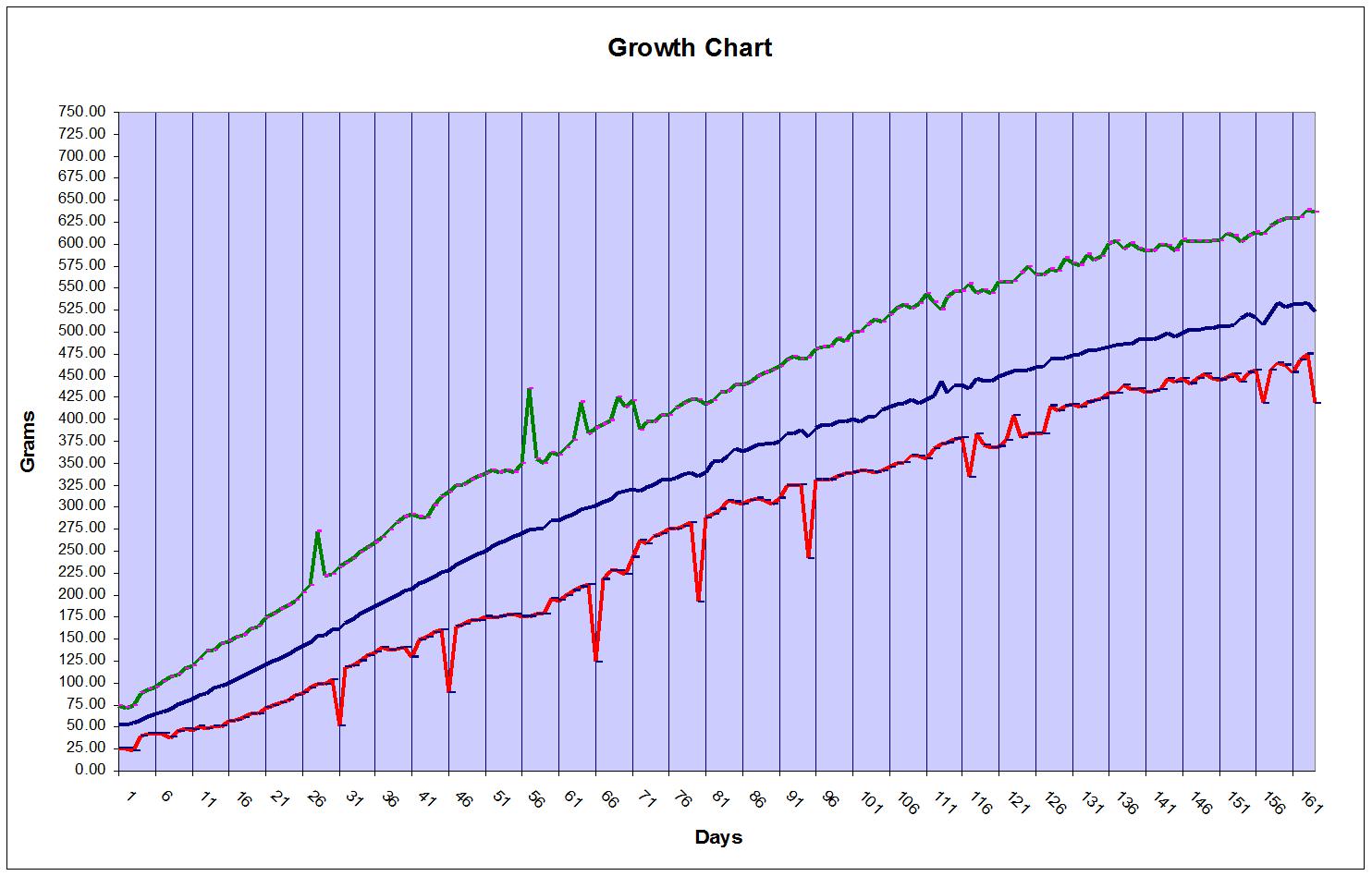 Chinchilla Growth Chart